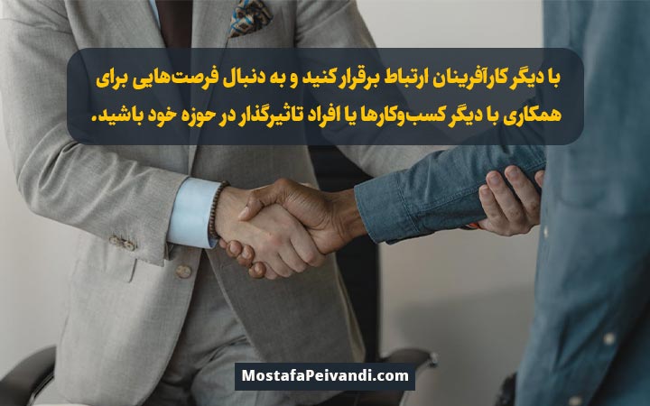 شبکه سازی در کارآفرینی